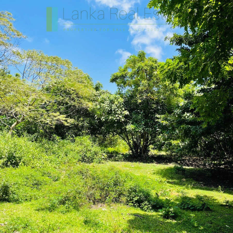 Ten acre development plot with outline plans
