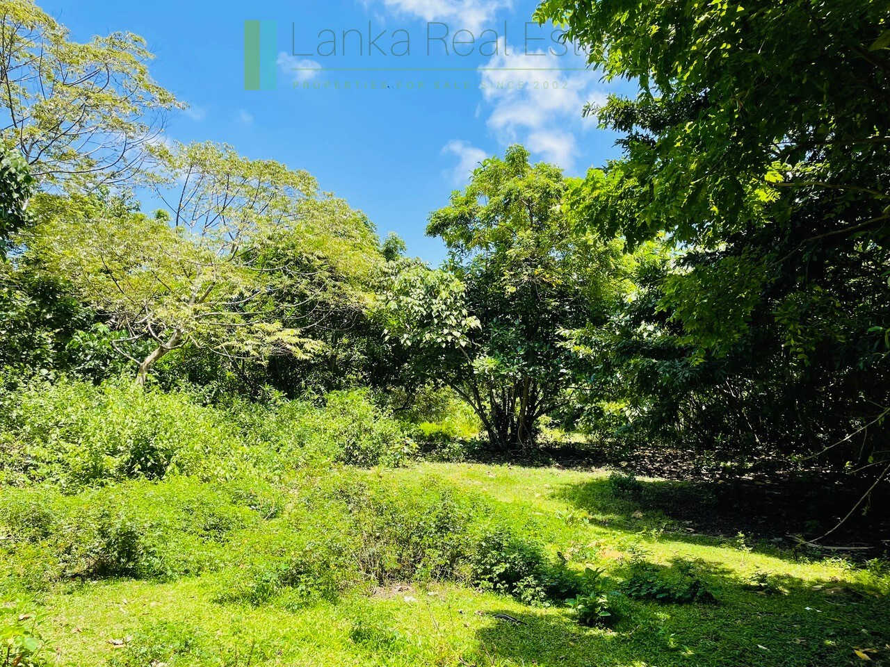 Ten acre development plot with outline plans