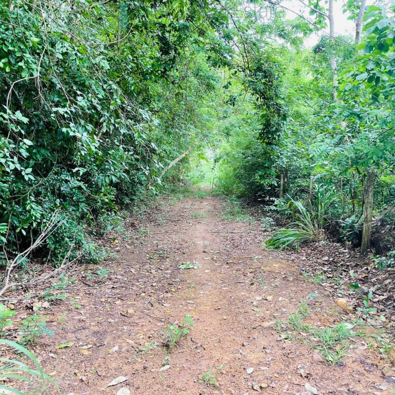Ocean views at Seenimodara, Mawella