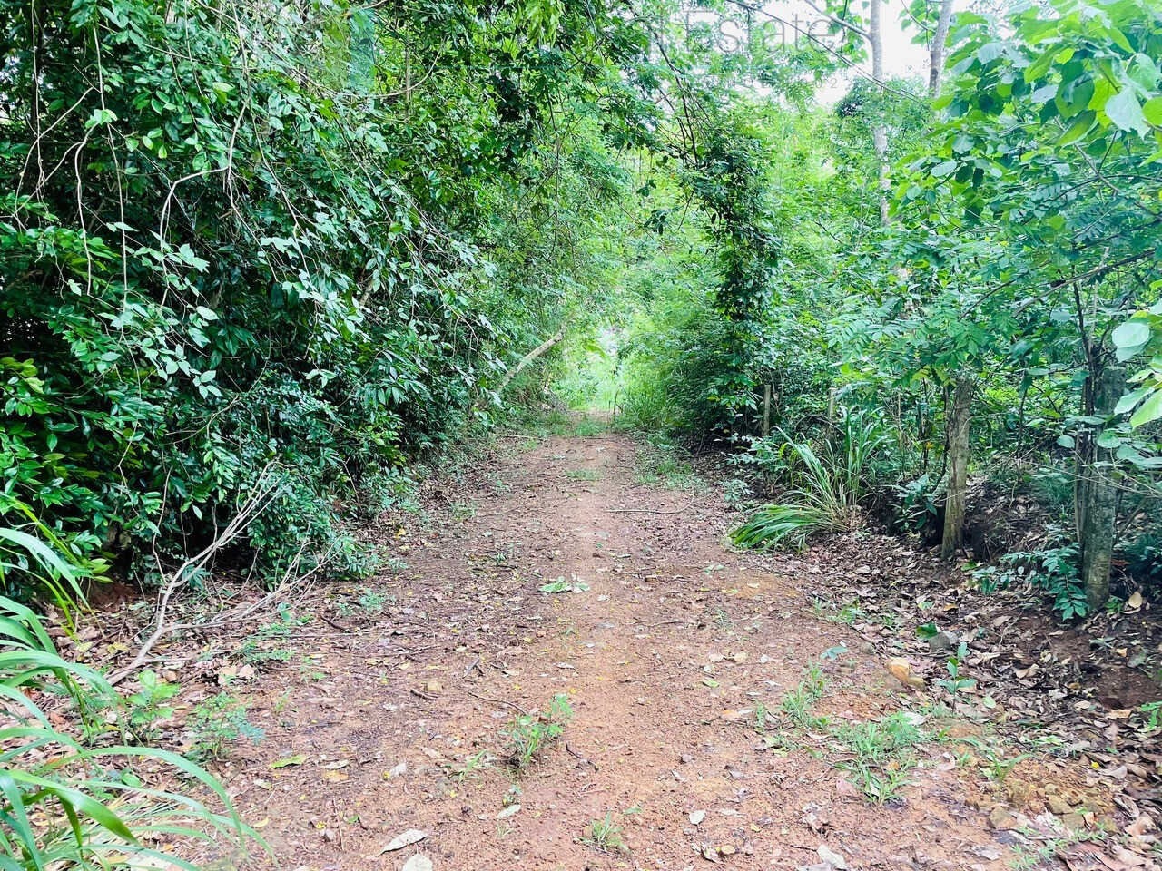 Ocean views at Seenimodara, Mawella
