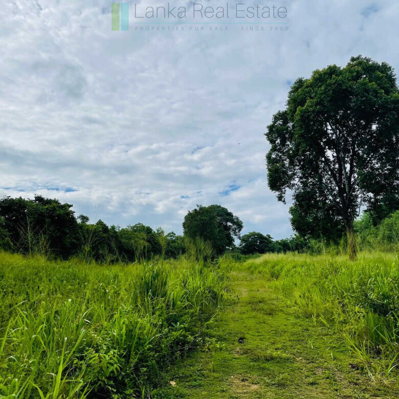 Ocean views at Seenimodara, Mawella
