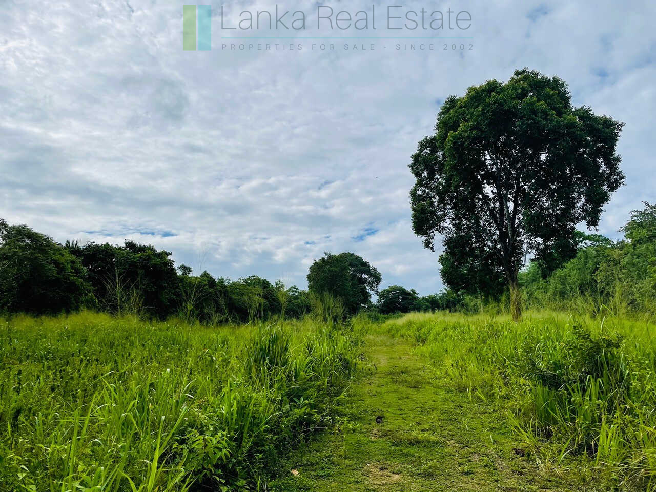 Ocean views at Seenimodara, Mawella
