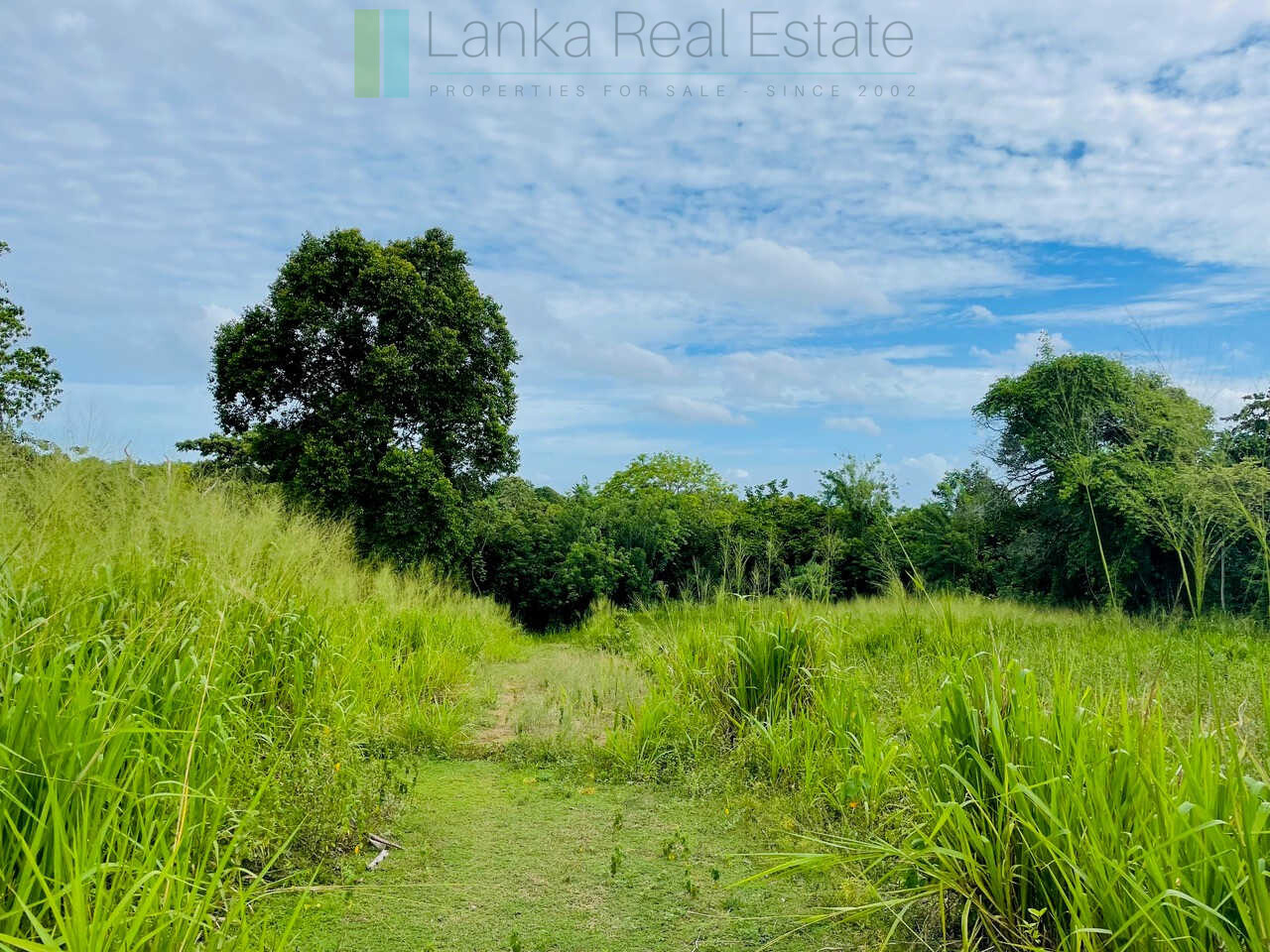 Ocean views at Seenimodara, Mawella