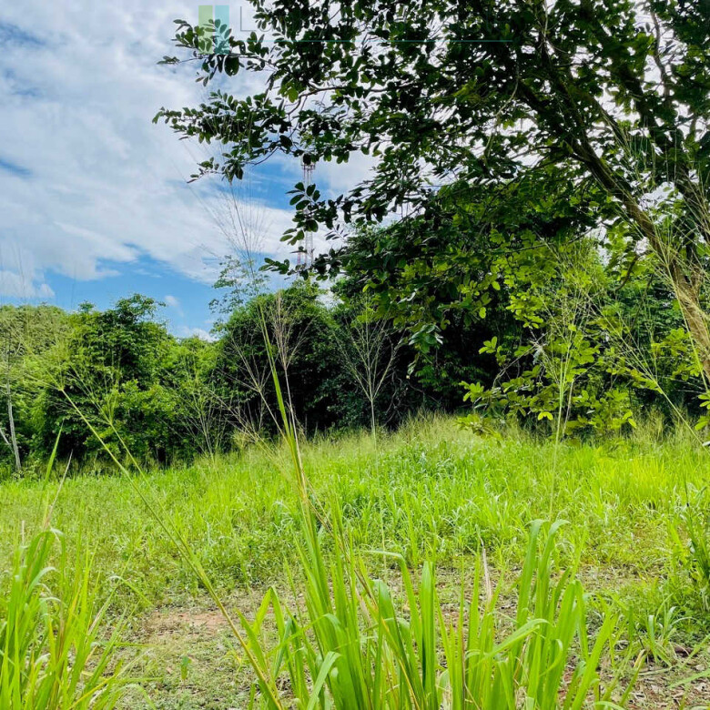 Ocean views at Seenimodara, Mawella