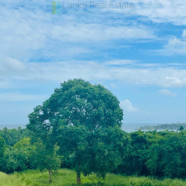 Ocean views at Seenimodara, Mawella