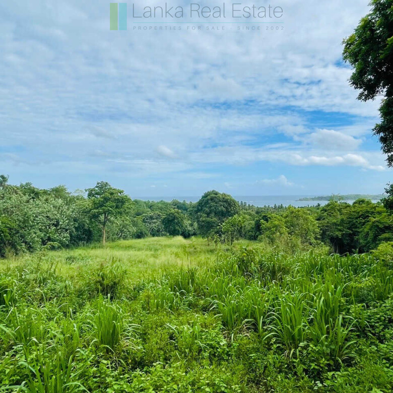 Ocean views at Seenimodara, Mawella