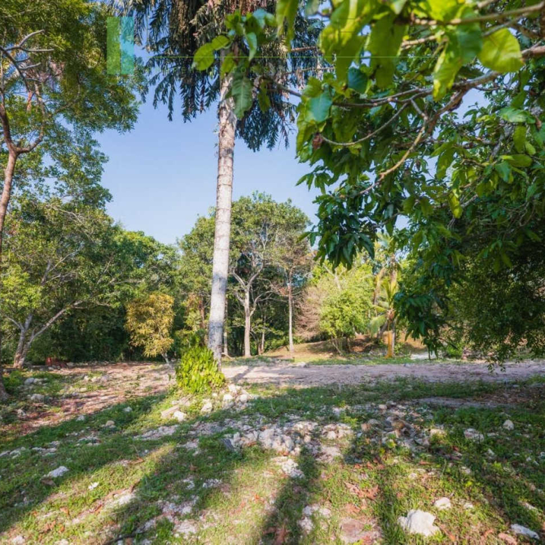Stunning plot overlooking its own paddy fields near Talpe