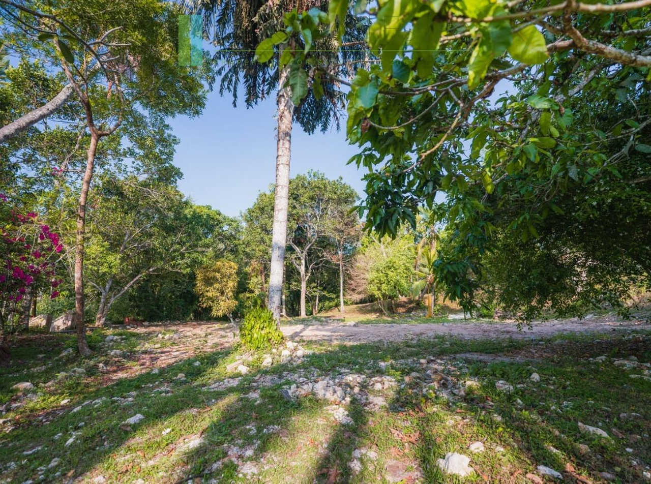 Stunning plot overlooking its own paddy fields near Talpe