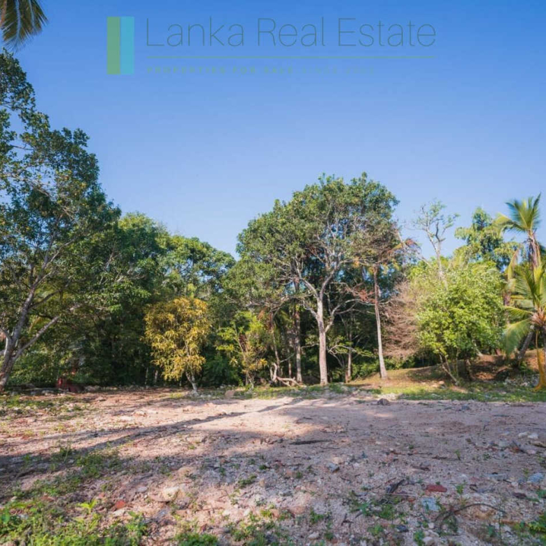 Stunning plot overlooking its own paddy fields near Talpe