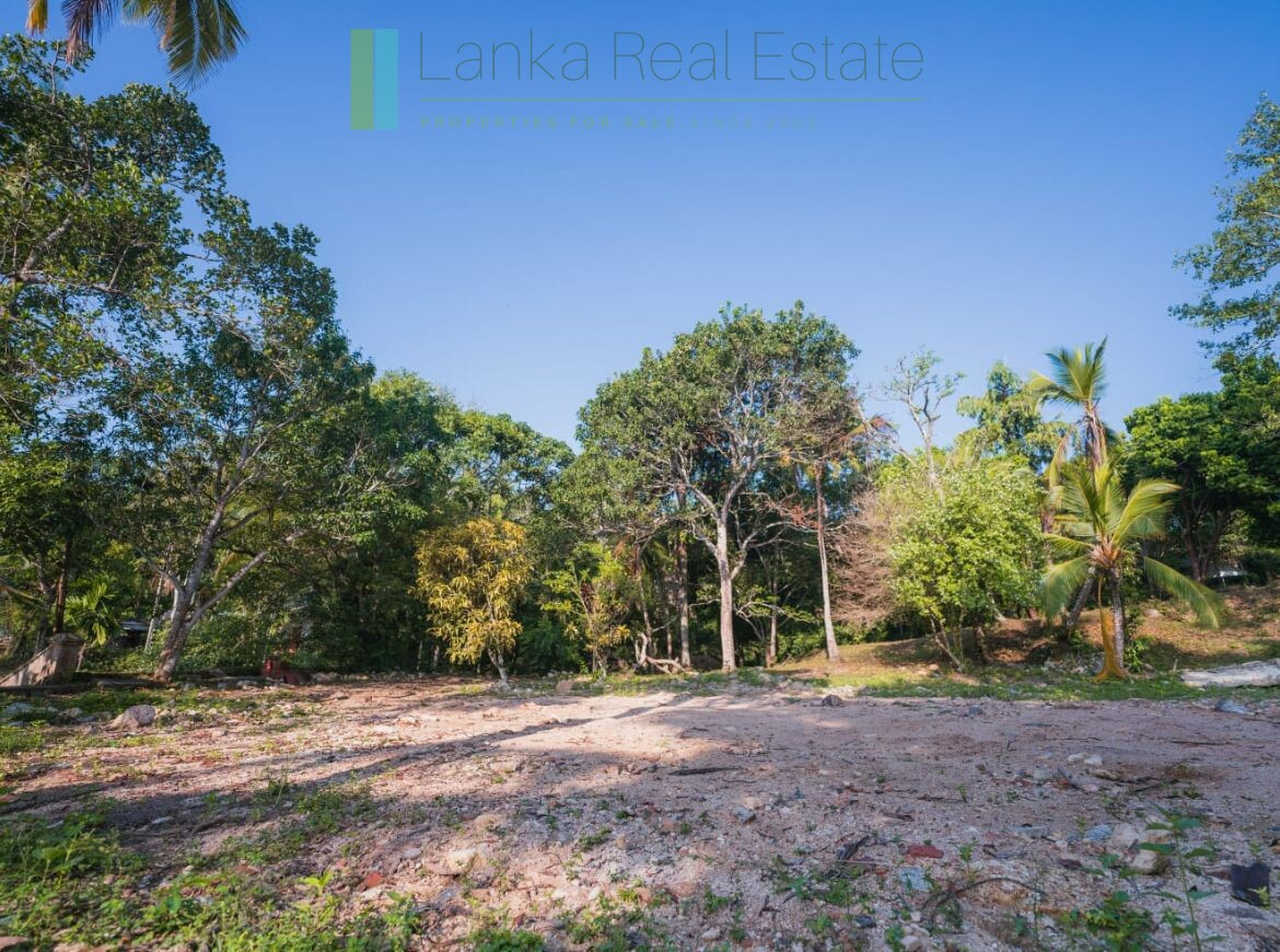 Stunning plot overlooking its own paddy fields near Talpe