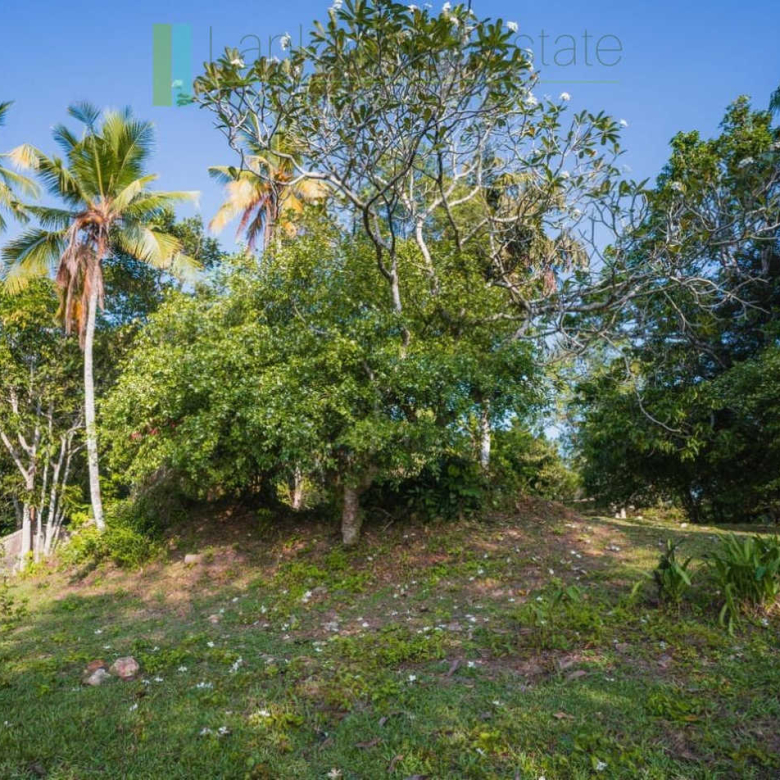 Stunning plot overlooking its own paddy fields near Talpe