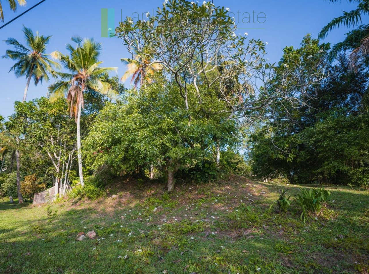 Stunning plot overlooking its own paddy fields near Talpe