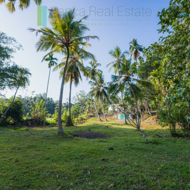 Stunning plot overlooking its own paddy fields near Talpe