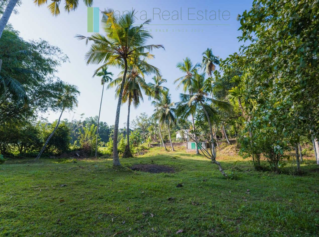 Stunning plot overlooking its own paddy fields near Talpe