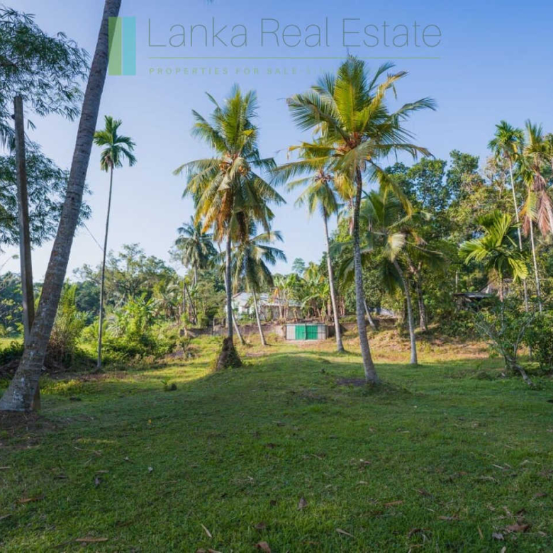 Stunning plot overlooking its own paddy fields near Talpe