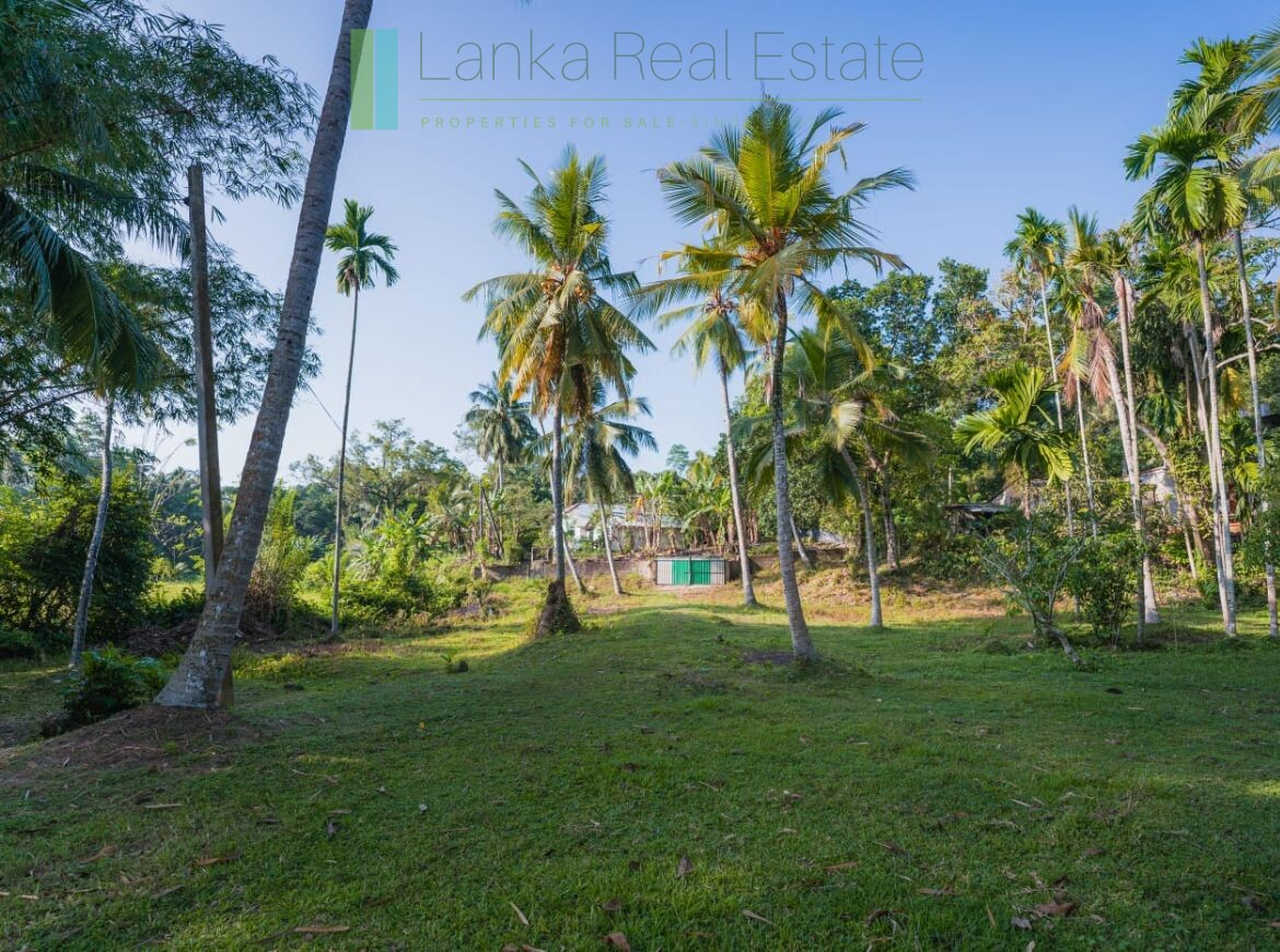 Stunning plot overlooking its own paddy fields near Talpe