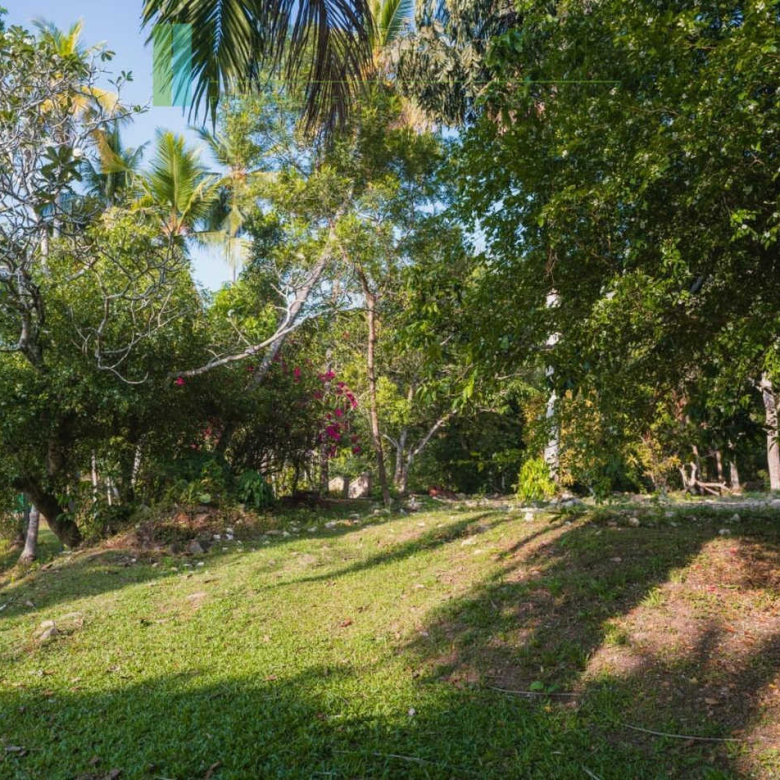 Stunning plot overlooking its own paddy fields near Talpe