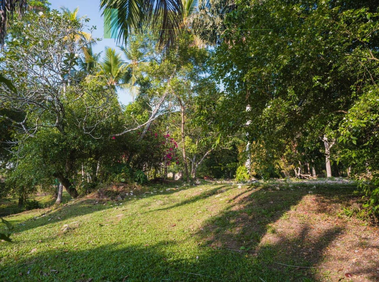 Stunning plot overlooking its own paddy fields near Talpe