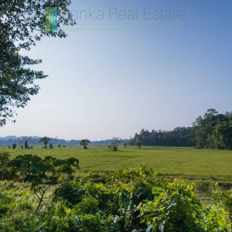 Stunning plot overlooking its own paddy fields near Talpe