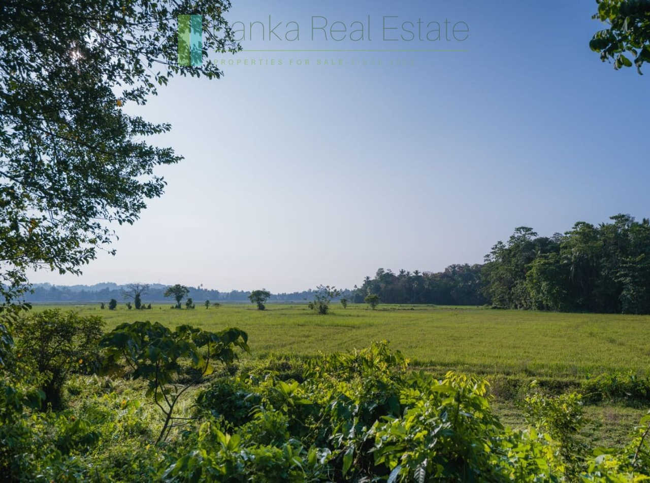 Stunning plot overlooking its own paddy fields near Talpe