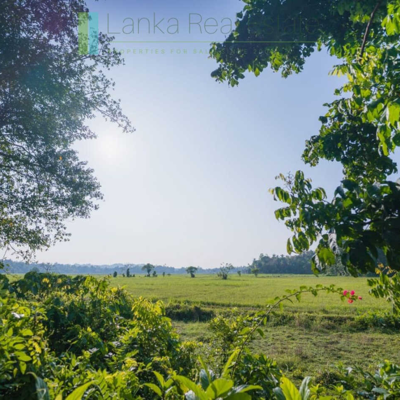 Stunning plot overlooking its own paddy fields near Talpe