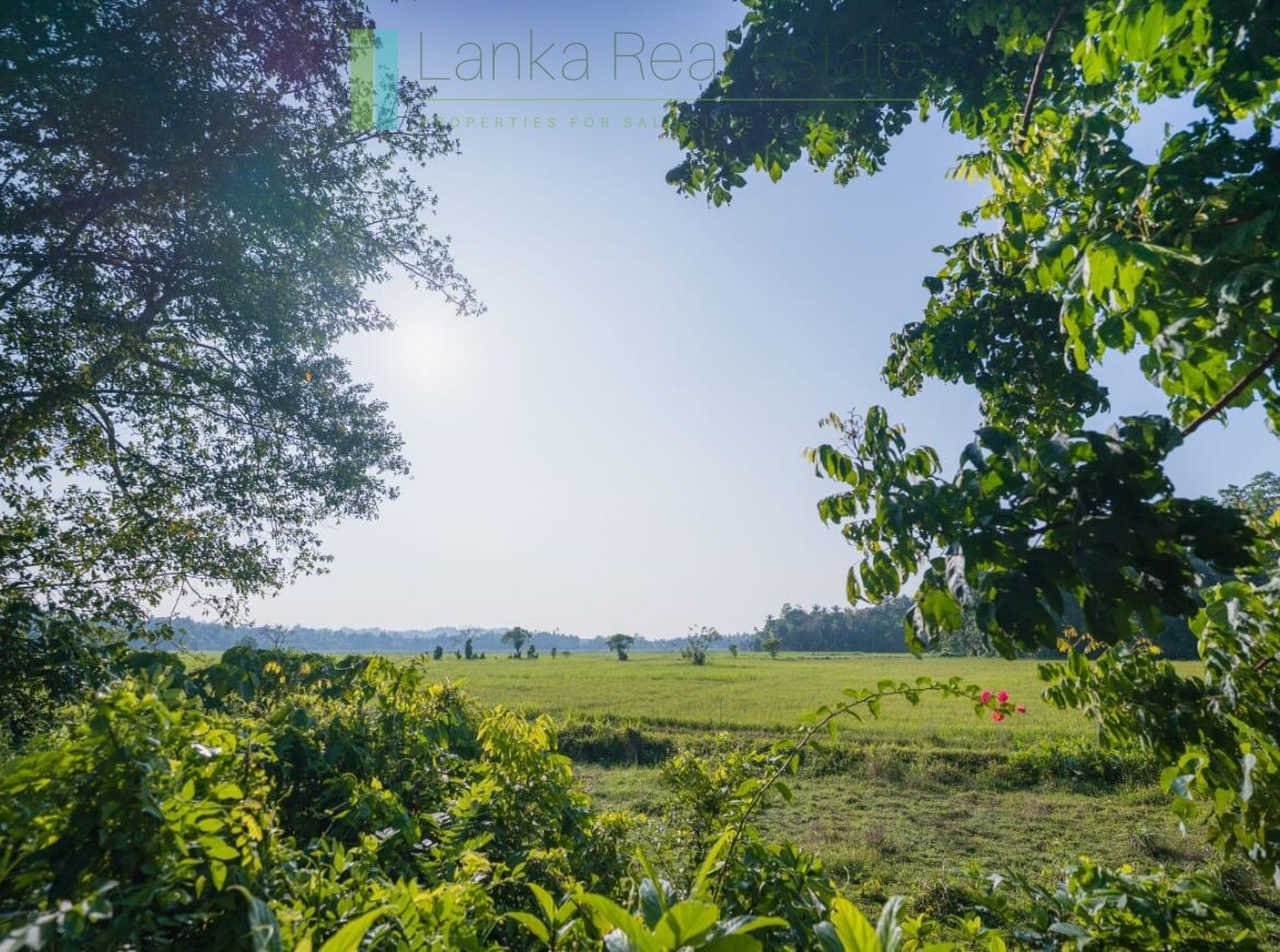 Stunning plot overlooking its own paddy fields near Talpe