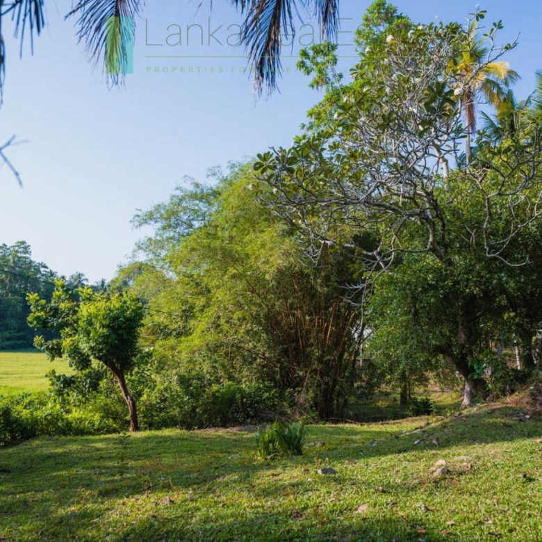 Stunning plot overlooking its own paddy fields near Talpe