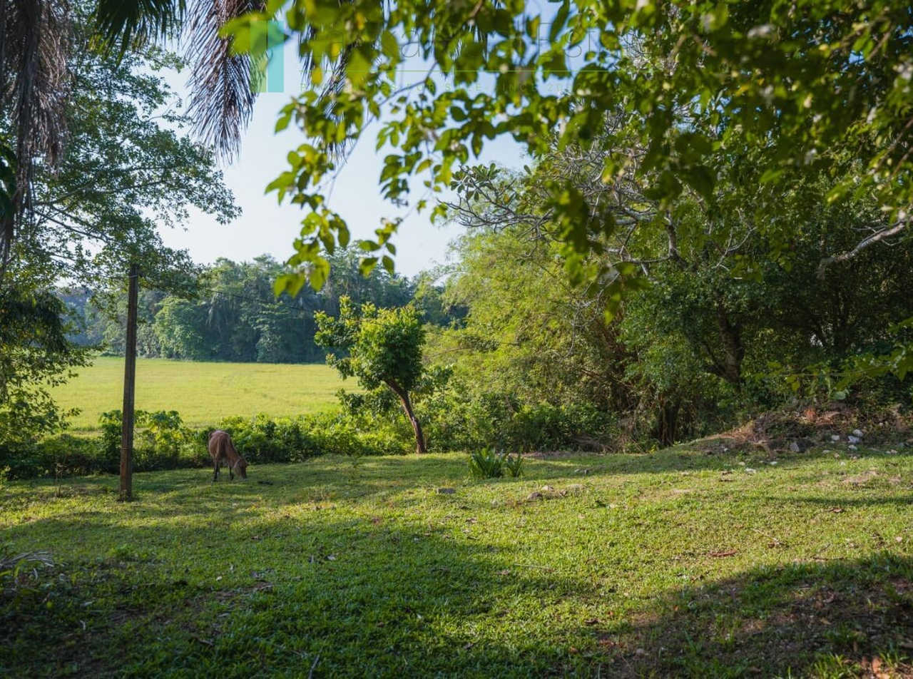 Stunning plot overlooking its own paddy fields near Talpe