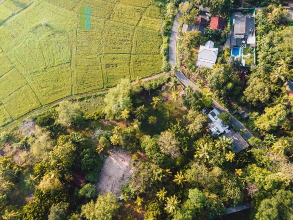 Stunning plot overlooking its own paddy fields near Talpe