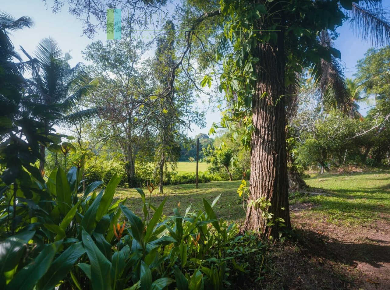Stunning plot overlooking its own paddy fields near Talpe