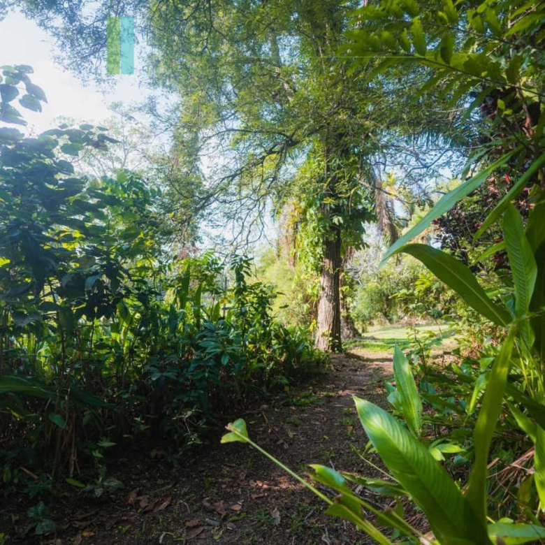 Stunning plot overlooking its own paddy fields near Talpe