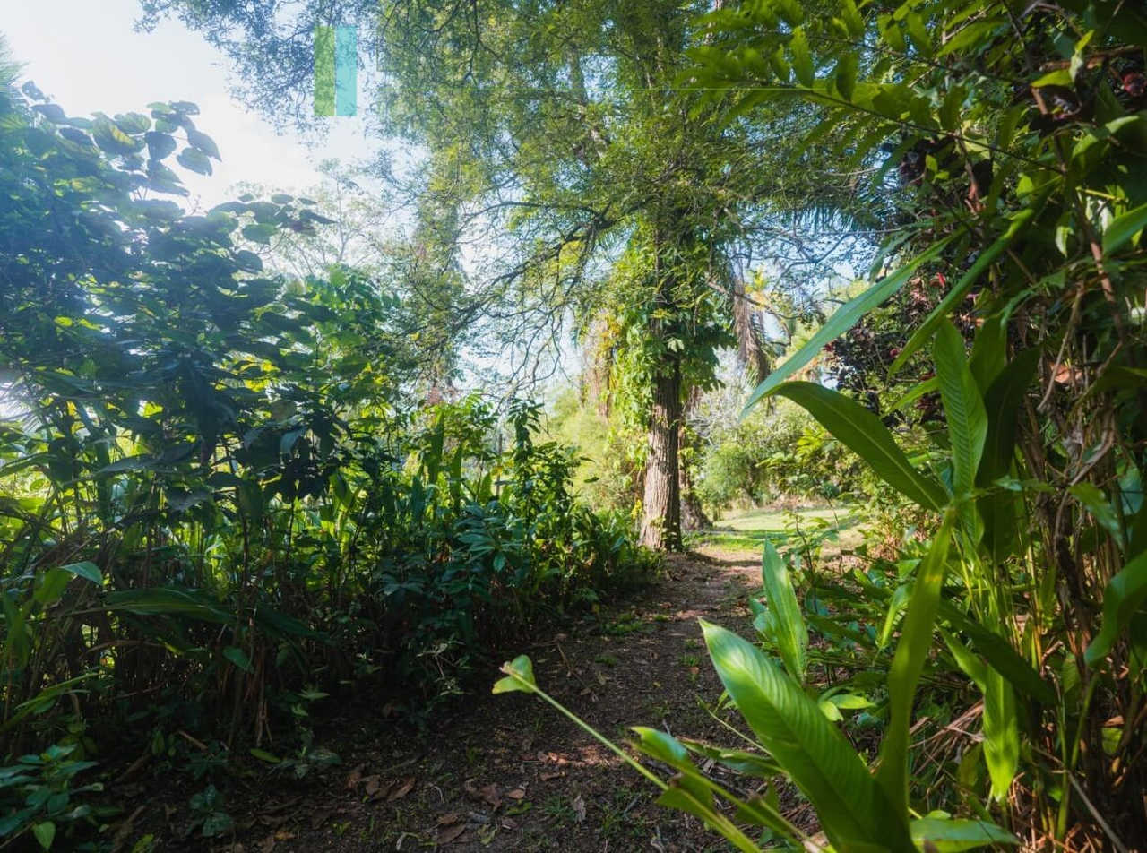 Stunning plot overlooking its own paddy fields near Talpe