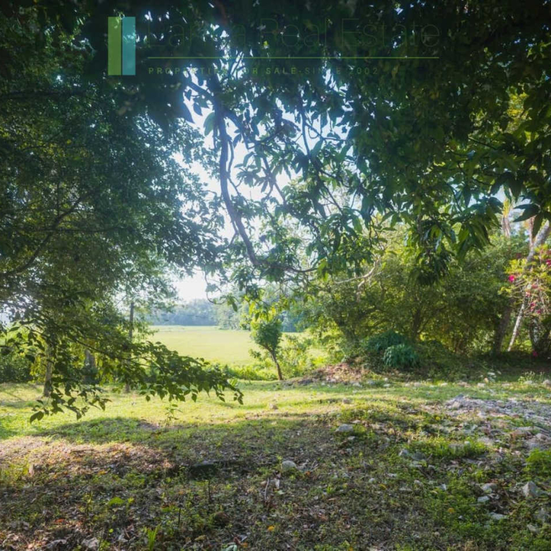Stunning plot overlooking its own paddy fields near Talpe