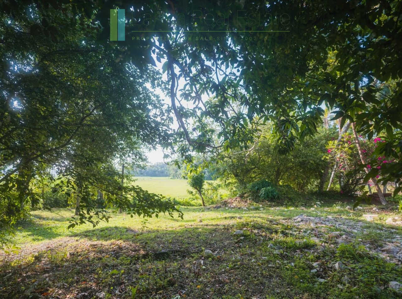 Stunning plot overlooking its own paddy fields near Talpe