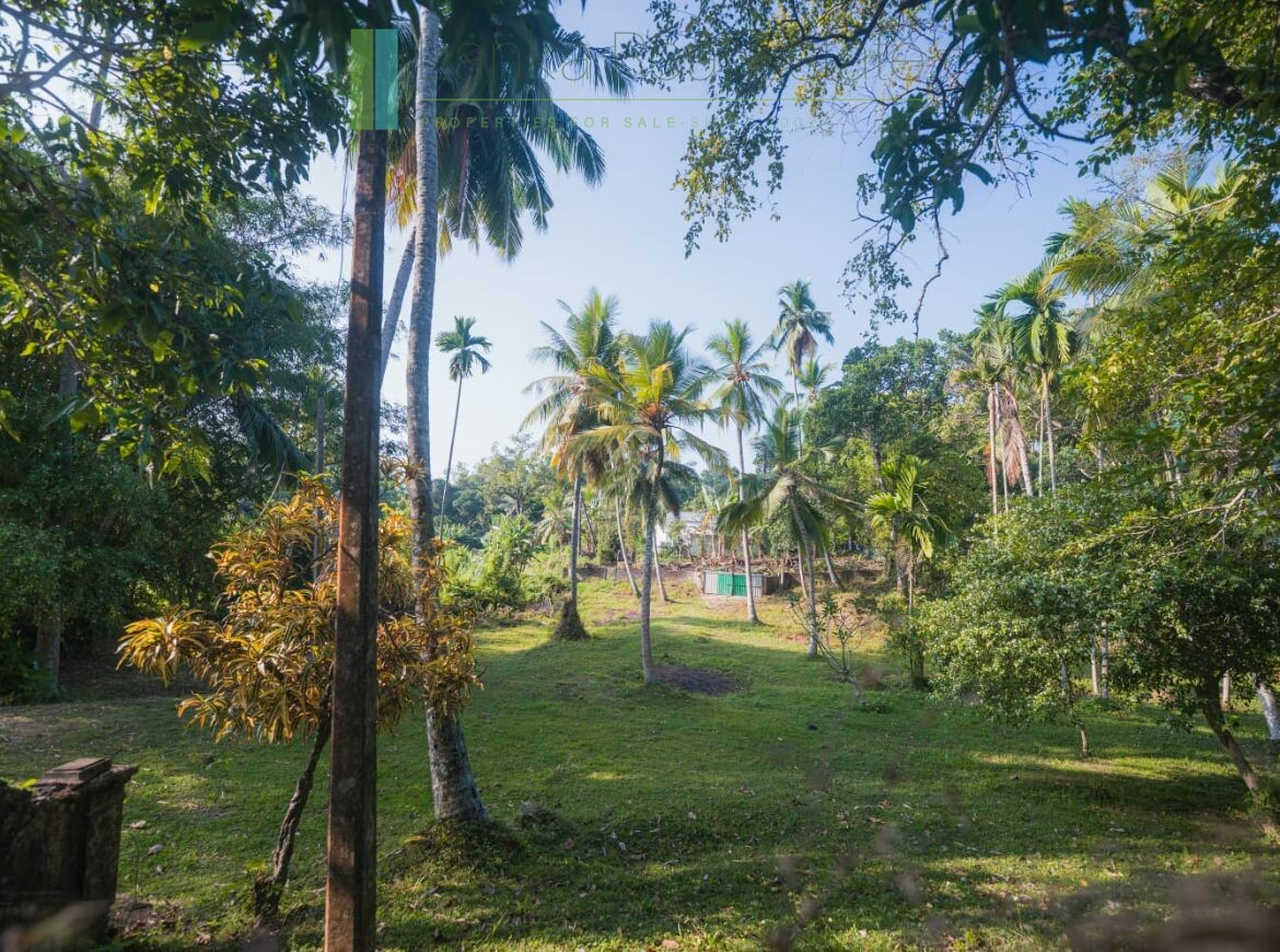 Stunning plot overlooking its own paddy fields near Talpe