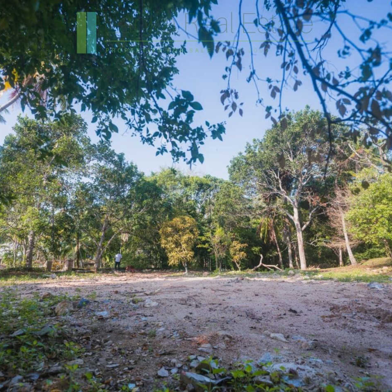 Stunning plot overlooking its own paddy fields near Talpe