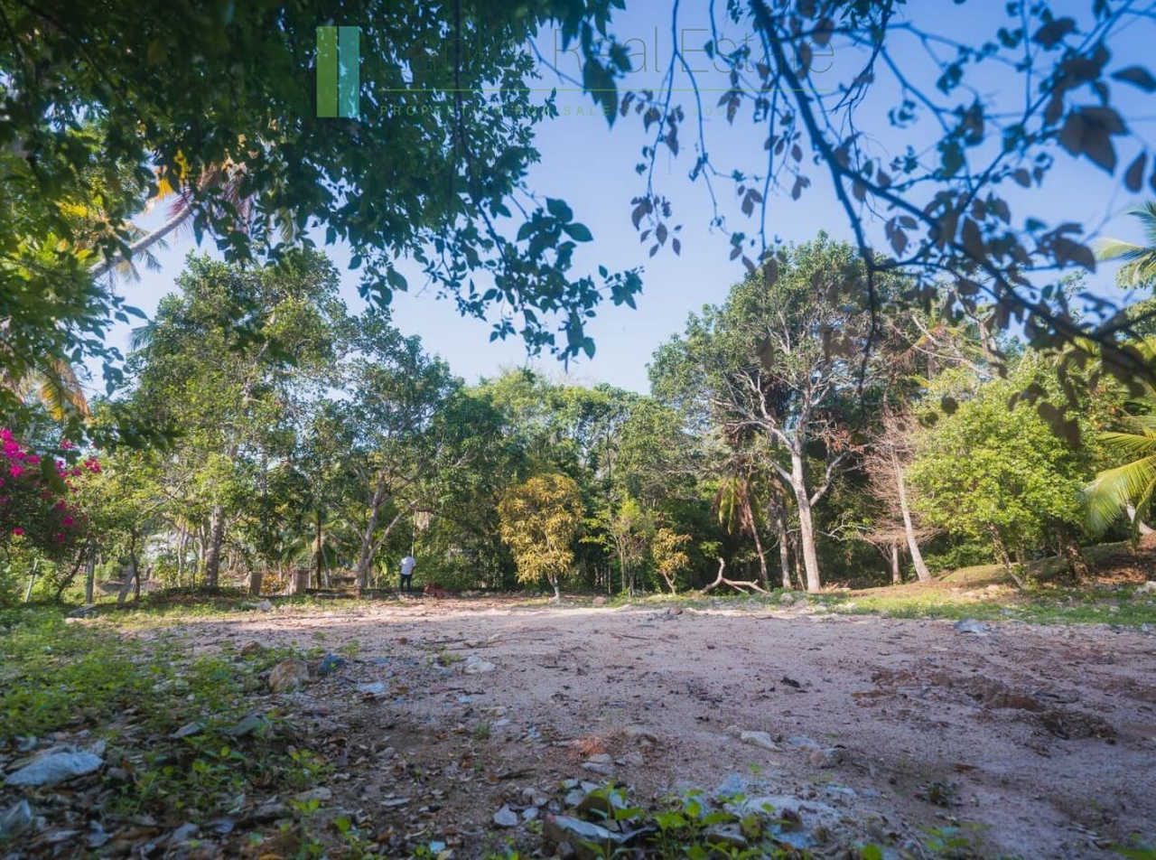 Stunning plot overlooking its own paddy fields near Talpe