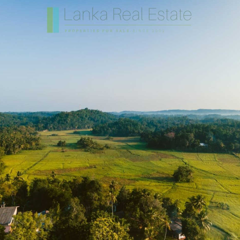 Stunning plot overlooking its own paddy fields near Talpe