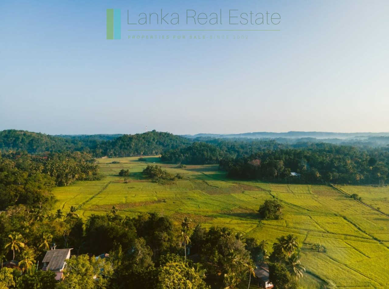 Stunning plot overlooking its own paddy fields near Talpe