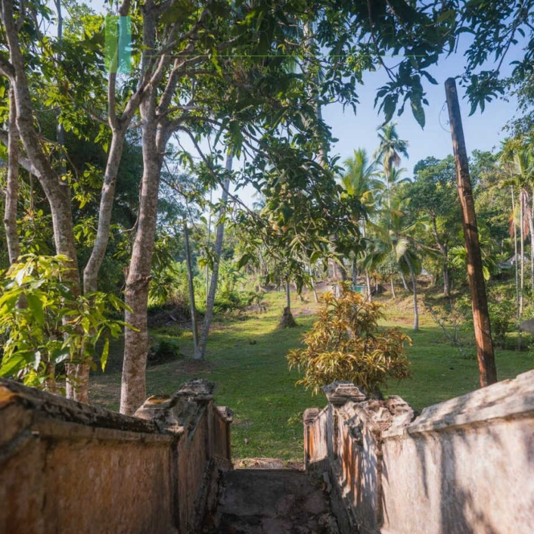 Stunning plot overlooking its own paddy fields near Talpe