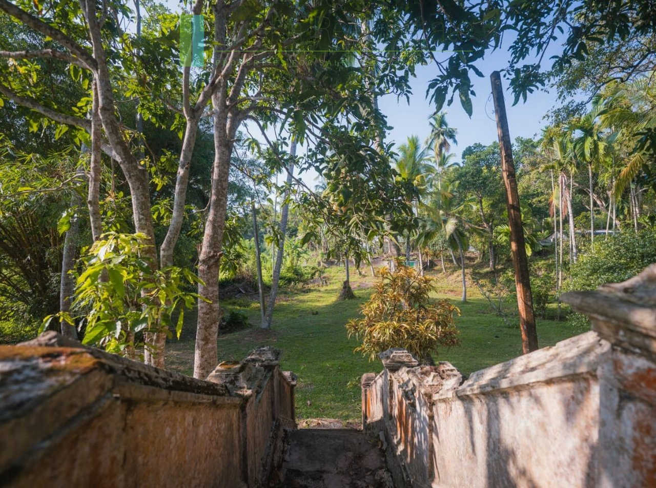 Stunning plot overlooking its own paddy fields near Talpe