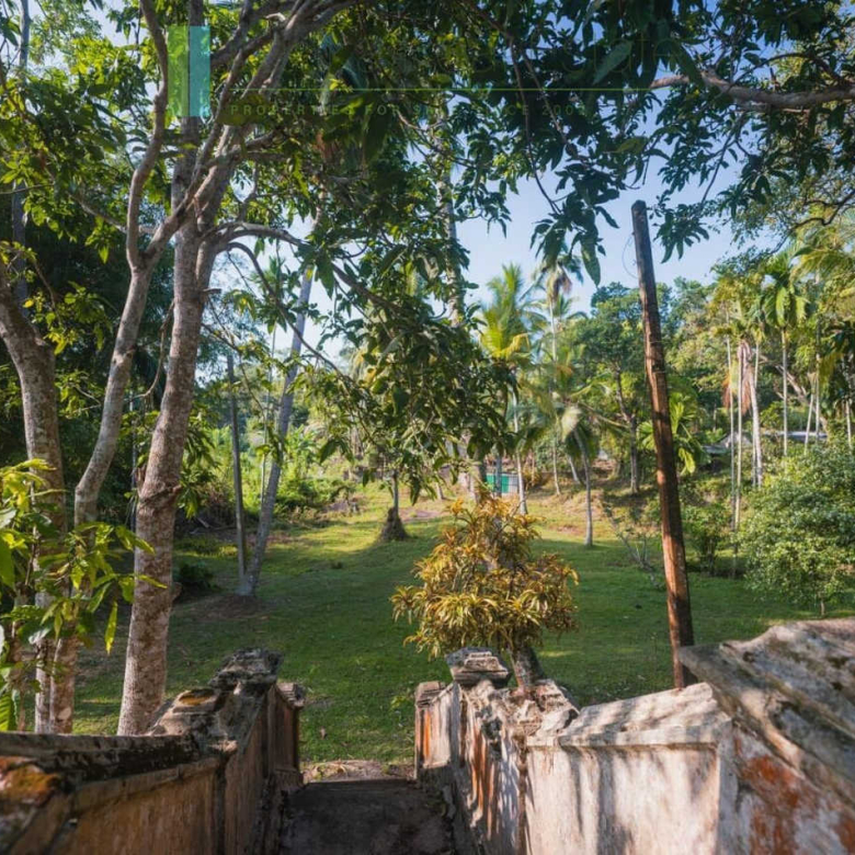 Stunning plot overlooking its own paddy fields near Talpe