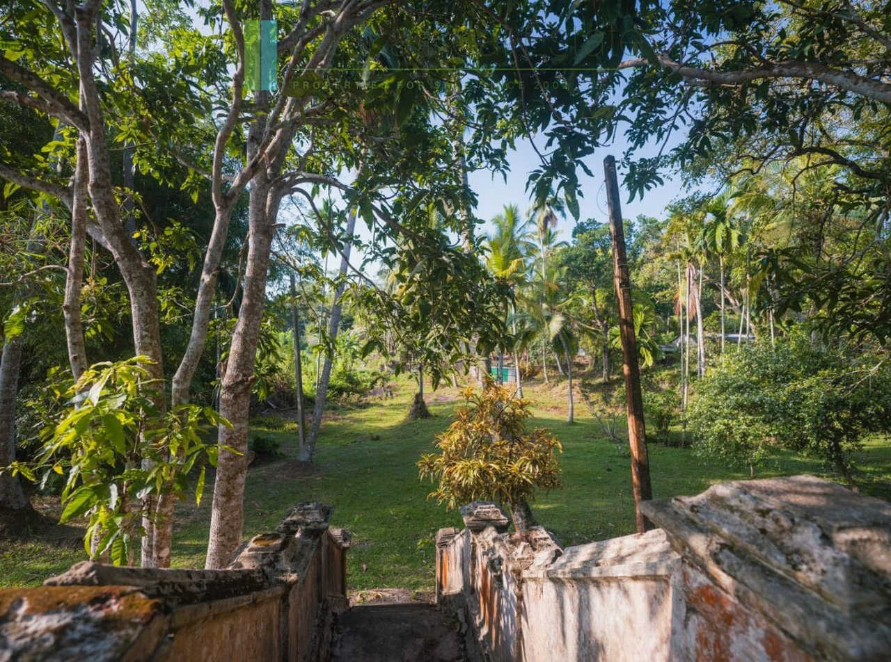 Stunning plot overlooking its own paddy fields near Talpe