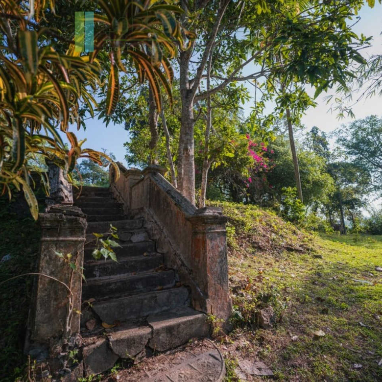Stunning plot overlooking its own paddy fields near Talpe