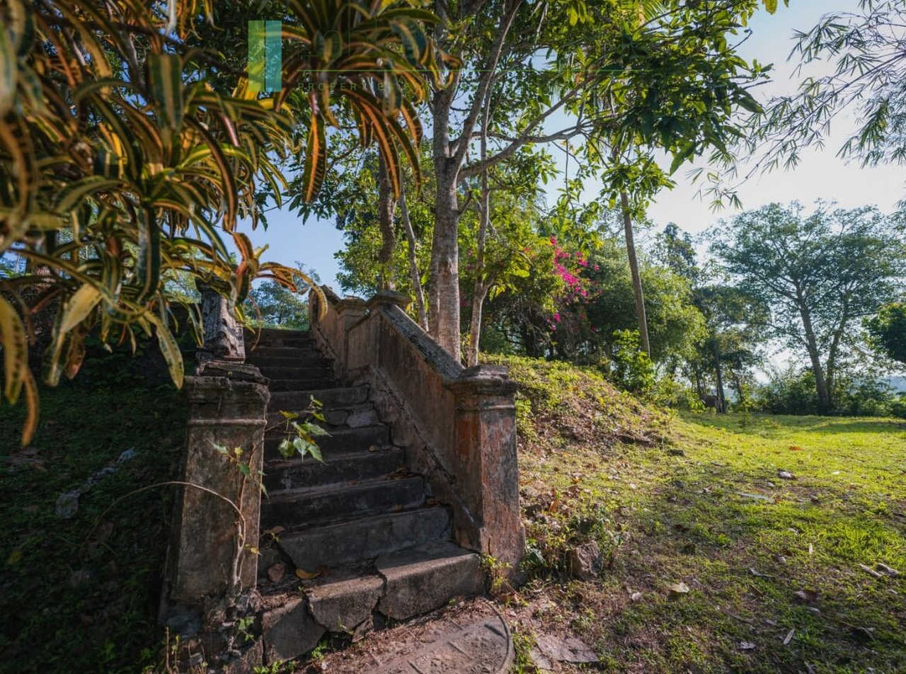 Stunning plot overlooking its own paddy fields near Talpe