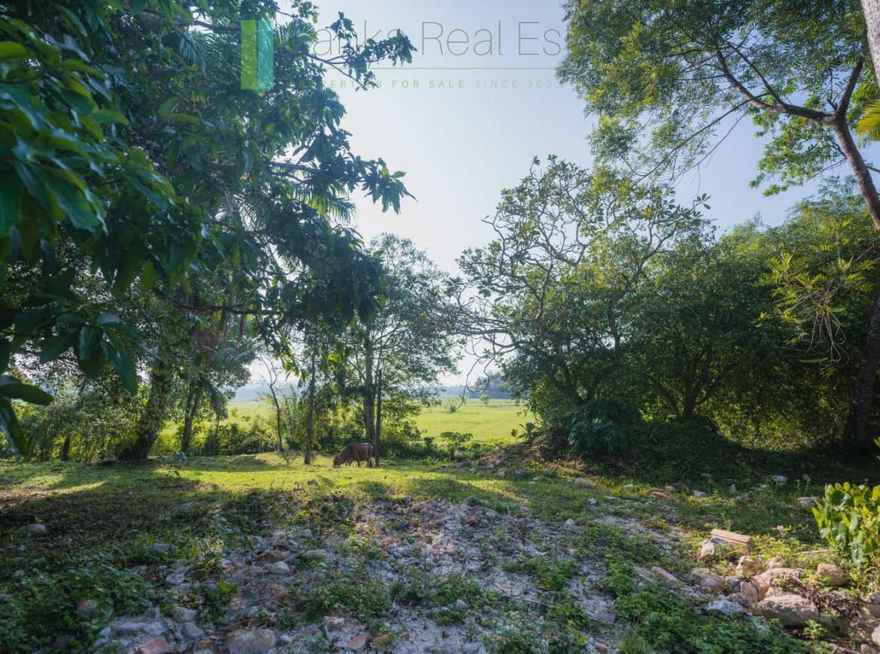 Stunning plot overlooking its own paddy fields near Talpe