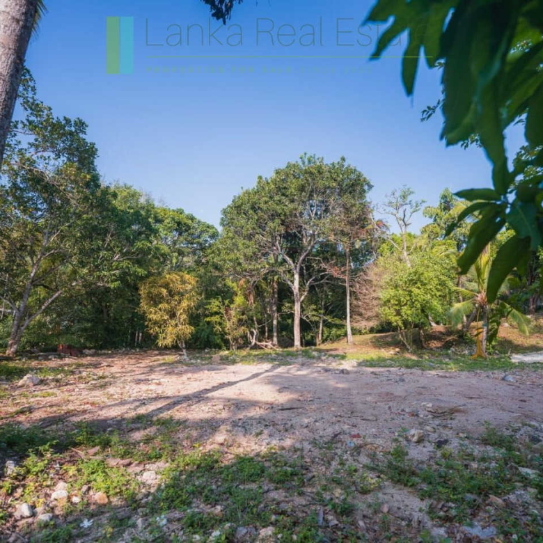 Stunning plot overlooking its own paddy fields near Talpe