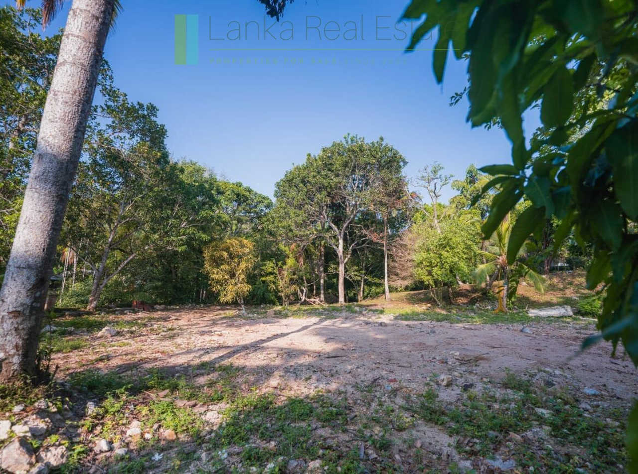 Stunning plot overlooking its own paddy fields near Talpe