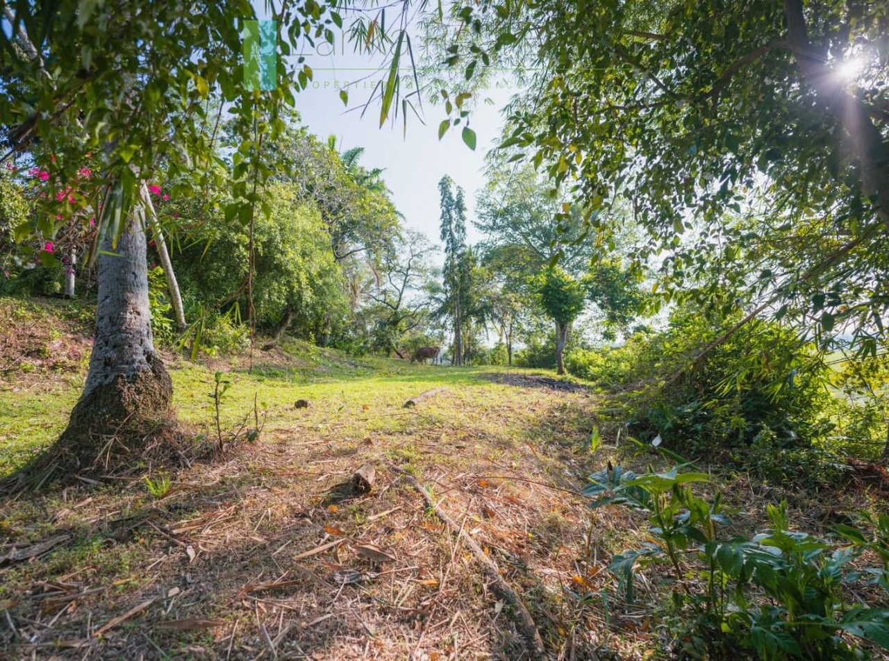 Stunning plot overlooking its own paddy fields near Talpe