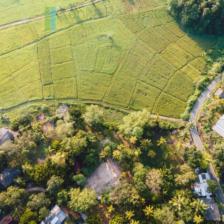 Peaceful paddy view plot near Talpe (Plot 2 of 3)